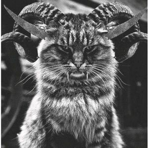 Meet your Posher, Jacklyn